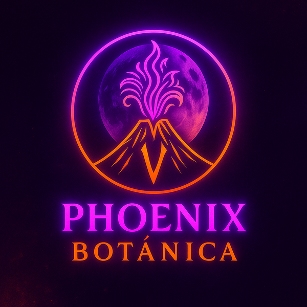 PHOENIX BOTÁNICA