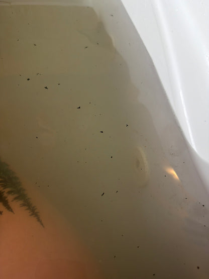 CLEAR THE AIR™ Mineral Bath Soak | Systemic Flush