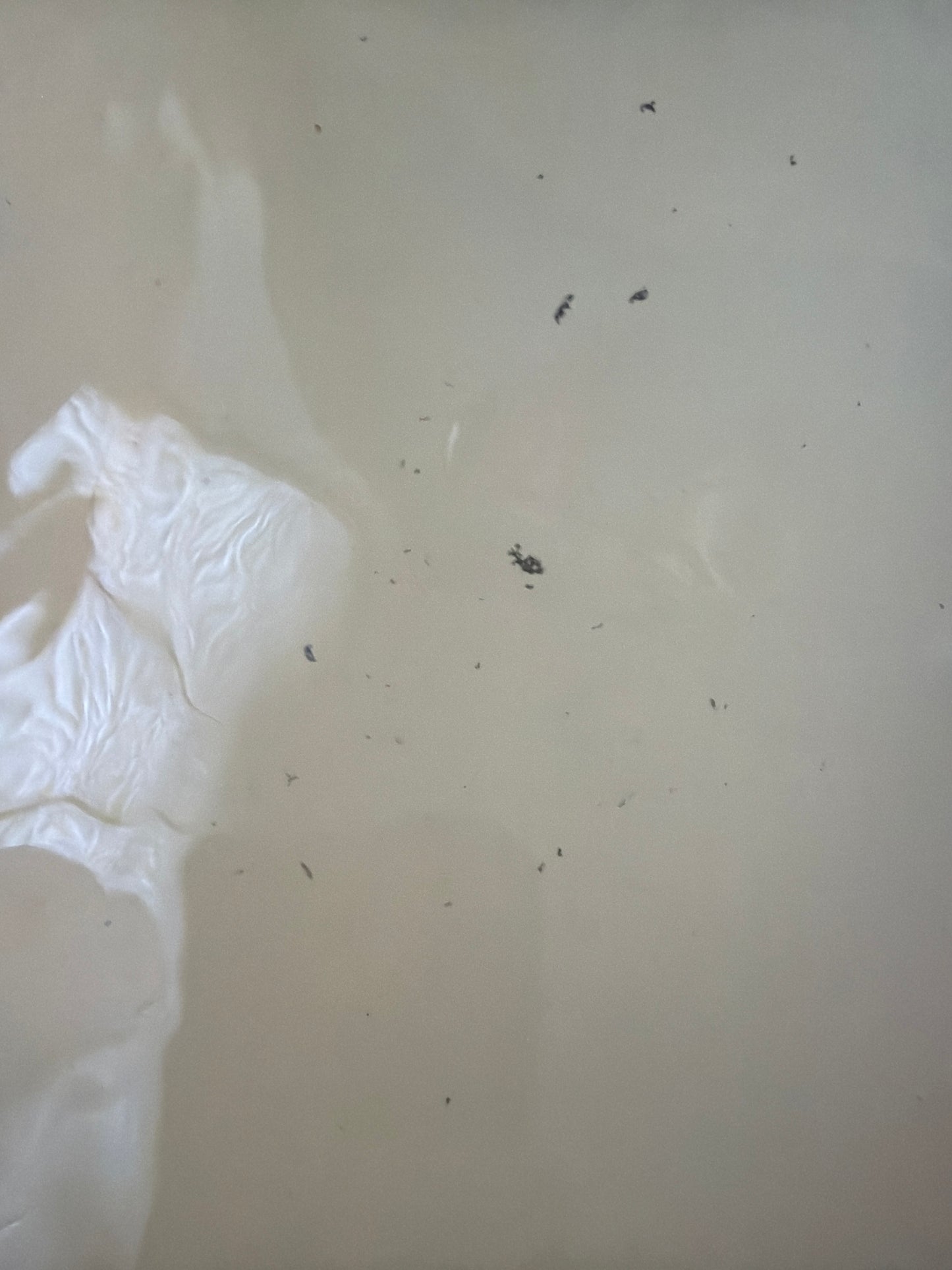 CLEAR THE AIR™ Mineral Bath Soak | Systemic Flush