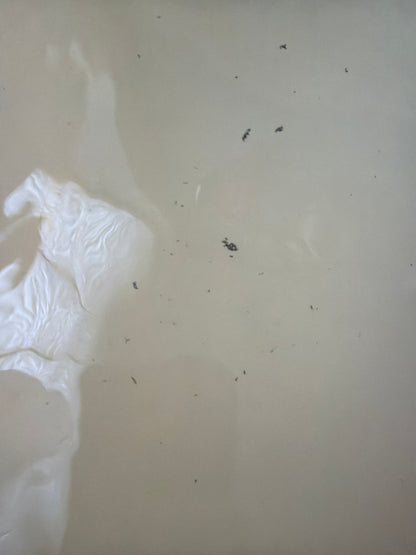 CLEAR THE AIR™ Mineral Bath Soak | Systemic Flush